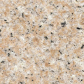 g681